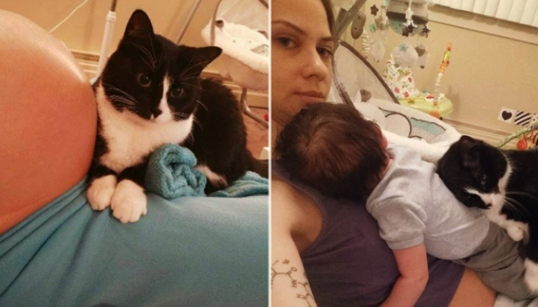 Cat Kept Baby Safe for 9 Months Inside the Belly