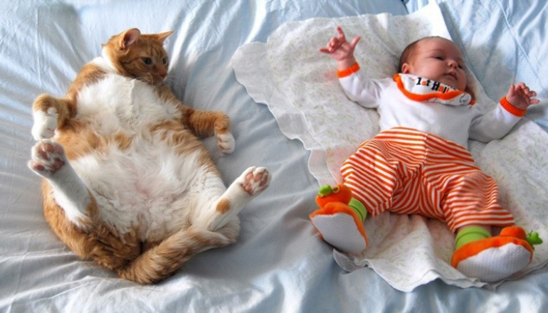 Cutest Photos Ever That Will Make You Get a Cat Friend for Your Baby