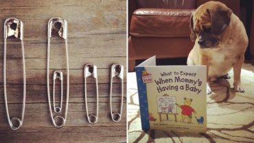 20 Most Clever And Cute Pregnancy Announcements Ever