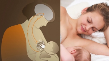 Breastfeeding: Nursing Basics for New Mothers