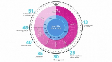 Age and the Female Fertility Clock