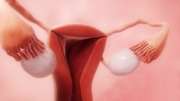 Ovulation: You Need to Know to Get Pregnant