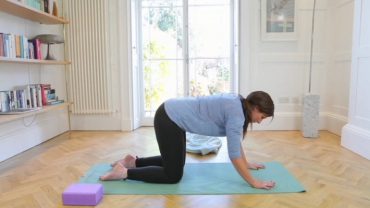 Pregnancy Yoga for the Pelvis