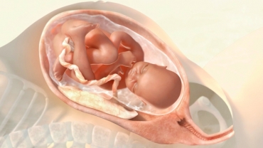 The Stages of Labor and Birth in a Vaginal Delivery