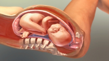 The Three Stages of Labor: Dilation, Expulsion and Placental