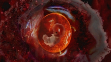 Unborn Babies Facts: How Baby Develop in Mother Womb?