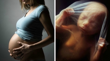 What Happens Inside the Womb During Pregnancy?