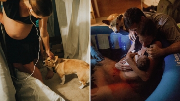 Woman Giving Birth Doesn’t Realize Her Corgi Never Leaves Her Side, Then Photographer Shows Her These Photos