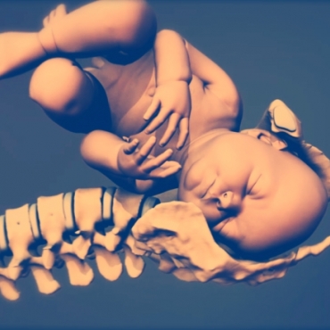 Shoulder Dystocia: What Happens When a Baby Gets Stuck During Delivery?