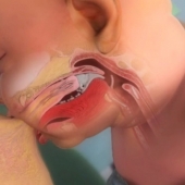 How a Baby's Mouth is Specially Formed to Help Breast Feeding?