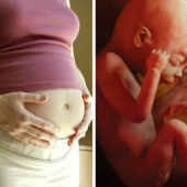 Second Trimester: What Happens to Your Unborn Baby?