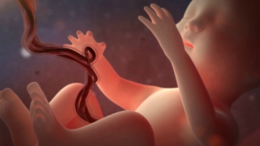 7 Interesting Facts About Fetal Development in the 3rd Trimester