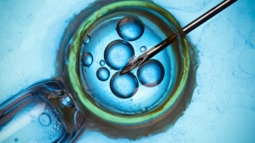 Assisted Reproductive Technology (ART)