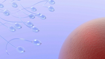 Conception: Decoding Your Cervical Mucus