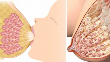 How Does Breast Milk Production Work?