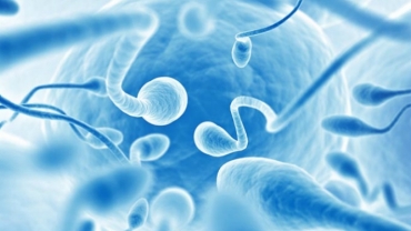 Infertility Treatment