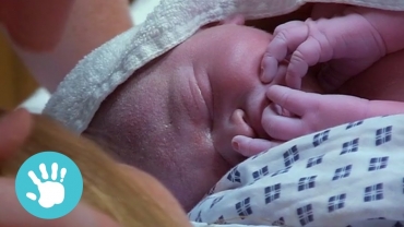 Starting a Family | One Born Every Minute