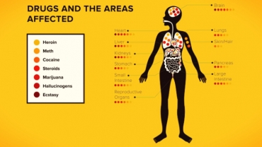 The Effects of Drug Abuse During Pregnancy