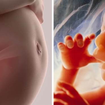 13 Surprising and Weird Facts About Pregnancy