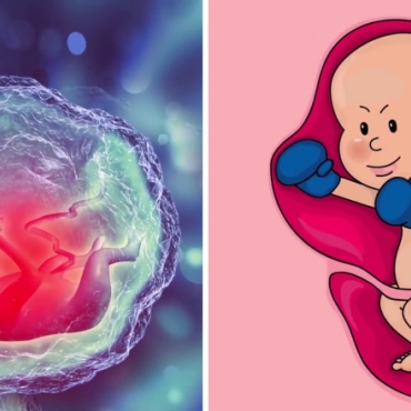 7 Facts You Need to Know About Baby Kicks