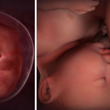 Alcohol Consumption During Pregnancy