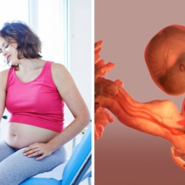 Counsyl Informed Pregnancy Screen