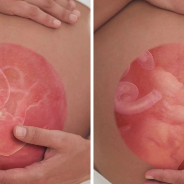 How Does a Baby Grow Inside the Womb?