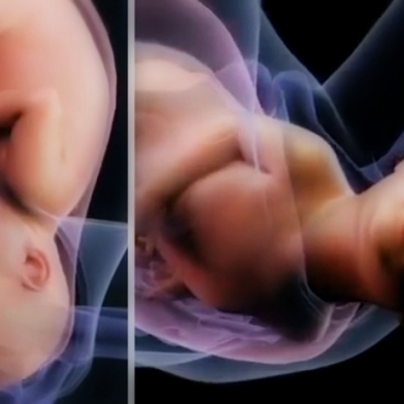 How Does My Body Work During Childbirth?