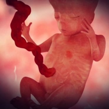 Pregnancy Week 14 - Four Months Pregnant