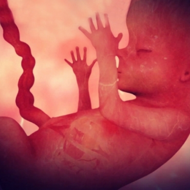 Pregnancy Week 15 - Four Months Pregnant