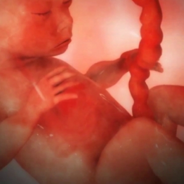 Pregnancy Week 30 - Seven Months Pregnant