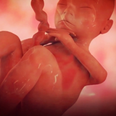 Pregnancy Week 31 - Seven Months Pregnant