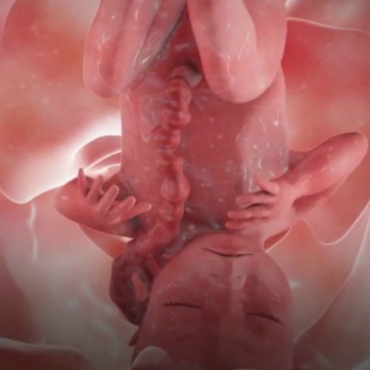 Pregnancy Week 39 - Nine Months Pregnant