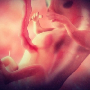 Pregnancy Week 8 - Two Months Pregnant