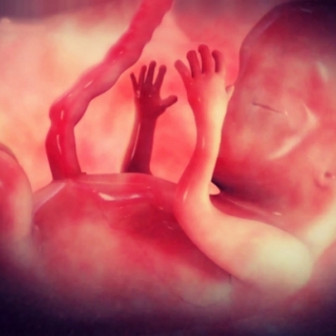 Pregnancy Week 9 - Two Months Pregnant