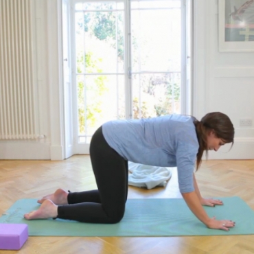 Pregnancy Yoga for the Pelvis