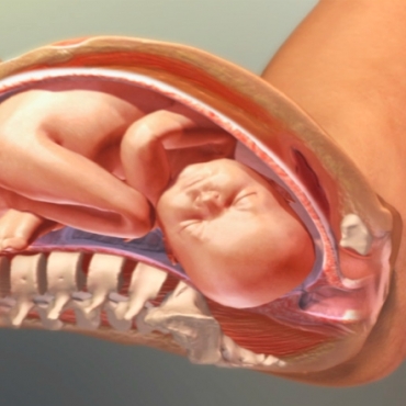 The Three Stages of Labor: Dilation, Expulsion and Placental