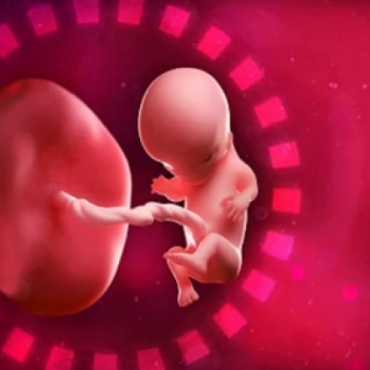 What is Happening at 10 Weeks Pregnant?