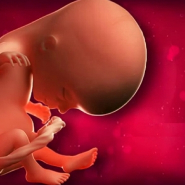 What is Happening at 13 Weeks Pregnant?