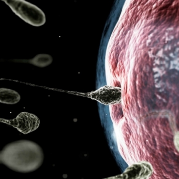 What is Happening at 1 & 2 Weeks Pregnant?