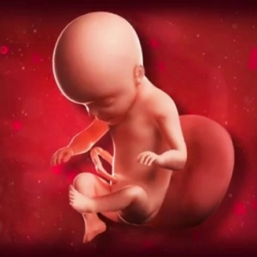 What is Happening at 25 Weeks Pregnant?