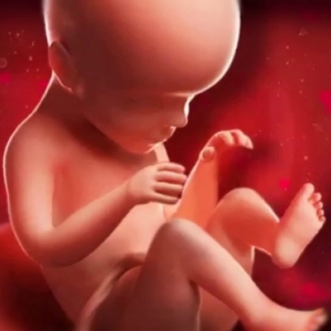 What is Happening at 26 Weeks Pregnant?