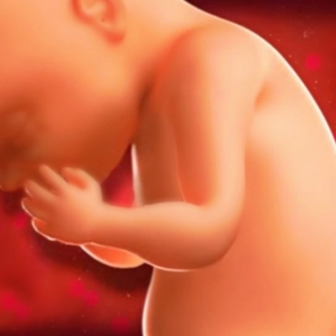 What is Happening at 29 Weeks Pregnant?