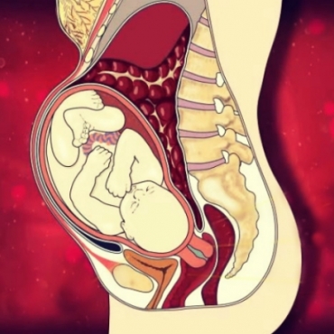 What is Happening at 35 Weeks Pregnant?