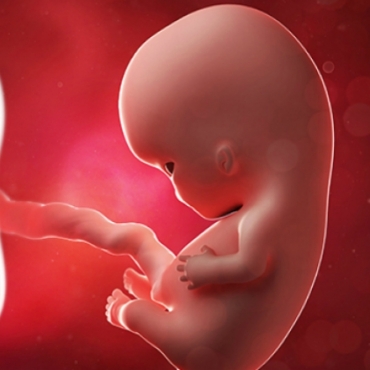 What is Happening at 9 Weeks Pregnant?