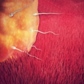 Pregnancy Weeks 1-3 - Conception